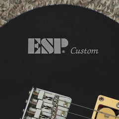 ESP Custom Waterslide Guitar Neck Headstock Decals (WHITE) Set of 2