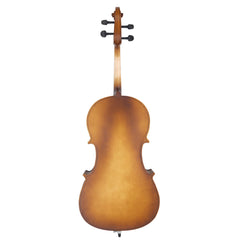 Szzzp 4/4 Acoustic Cello Case Bow Rosin Wood