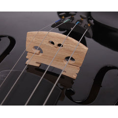 Szzzp 4/4 Acoustic Violin Case Bow Rosin Black