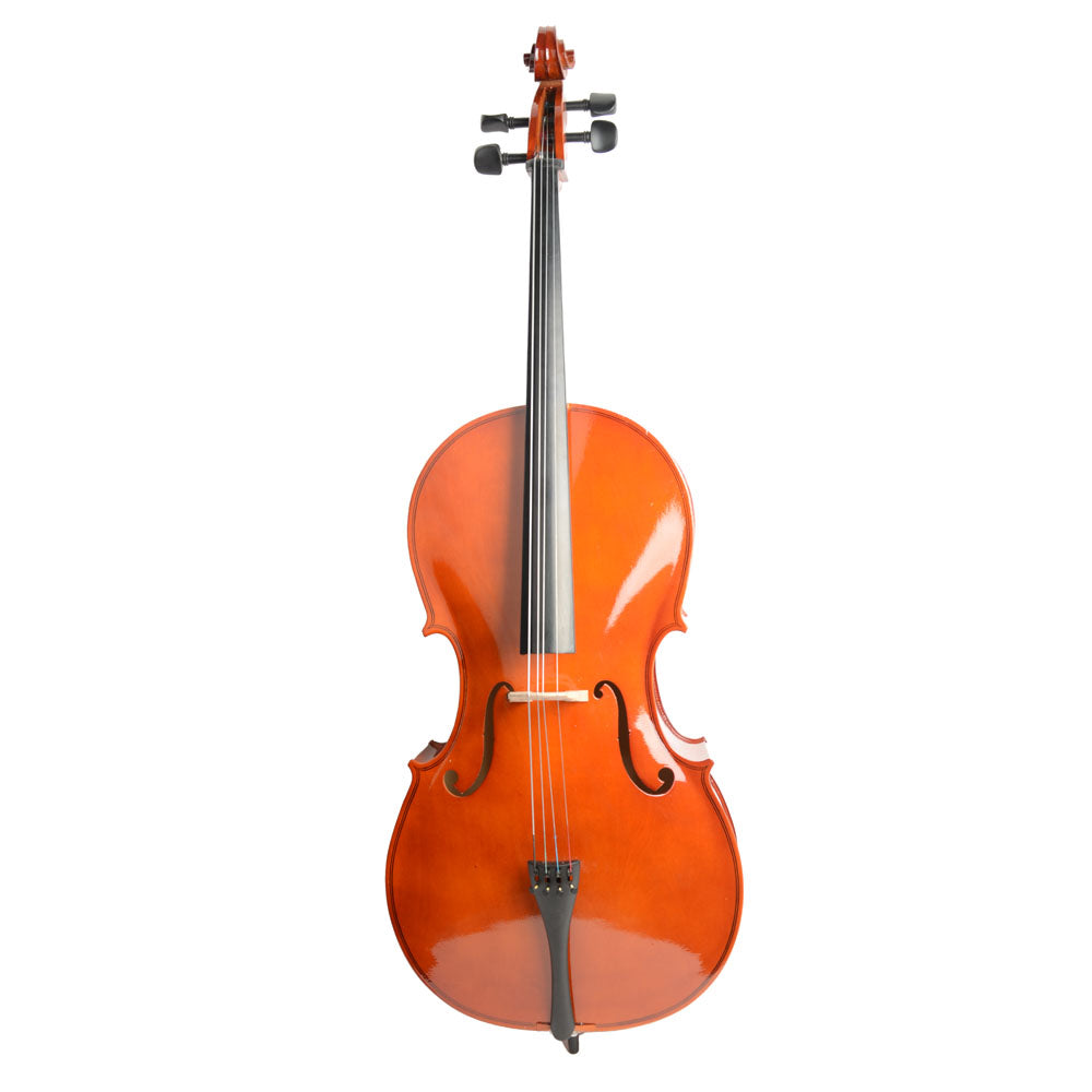Szzzp 4/4 Retro Style Cello Case Bow Rosin