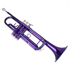 Szzzp Brass B Flat Trumpet Violet
