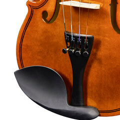 New 3/4 Acoustic Violin with Hard Case,Violin Bow,Shoulder Rest,Rosin,Extra Strings and Sourdine