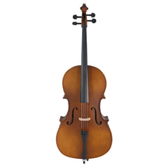 Szzzp 4/4 Acoustic Cello Case Bow Rosin Wood