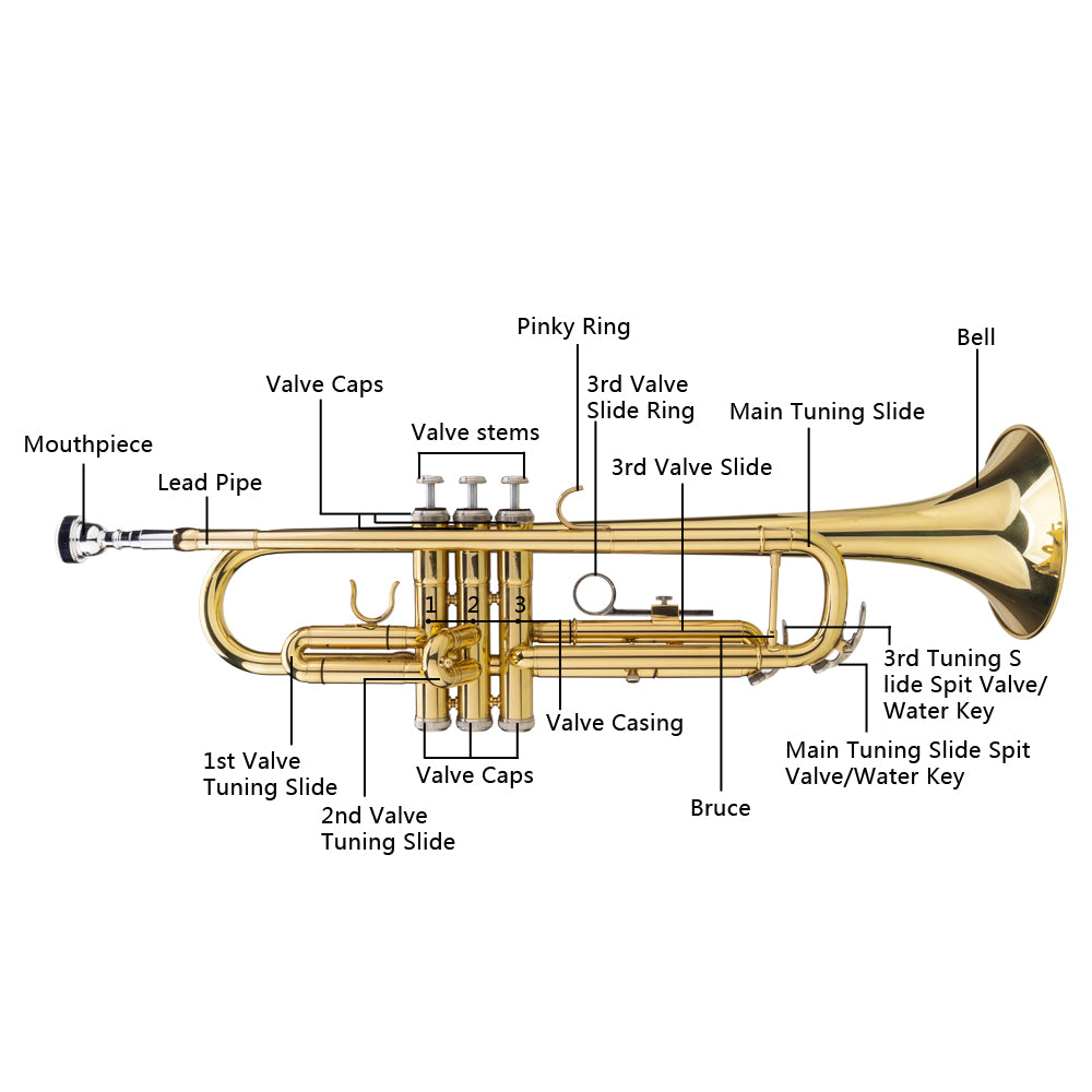 Szzzp Drop B Tone Adjustable Trumpet Gloves Set Plaint Golden