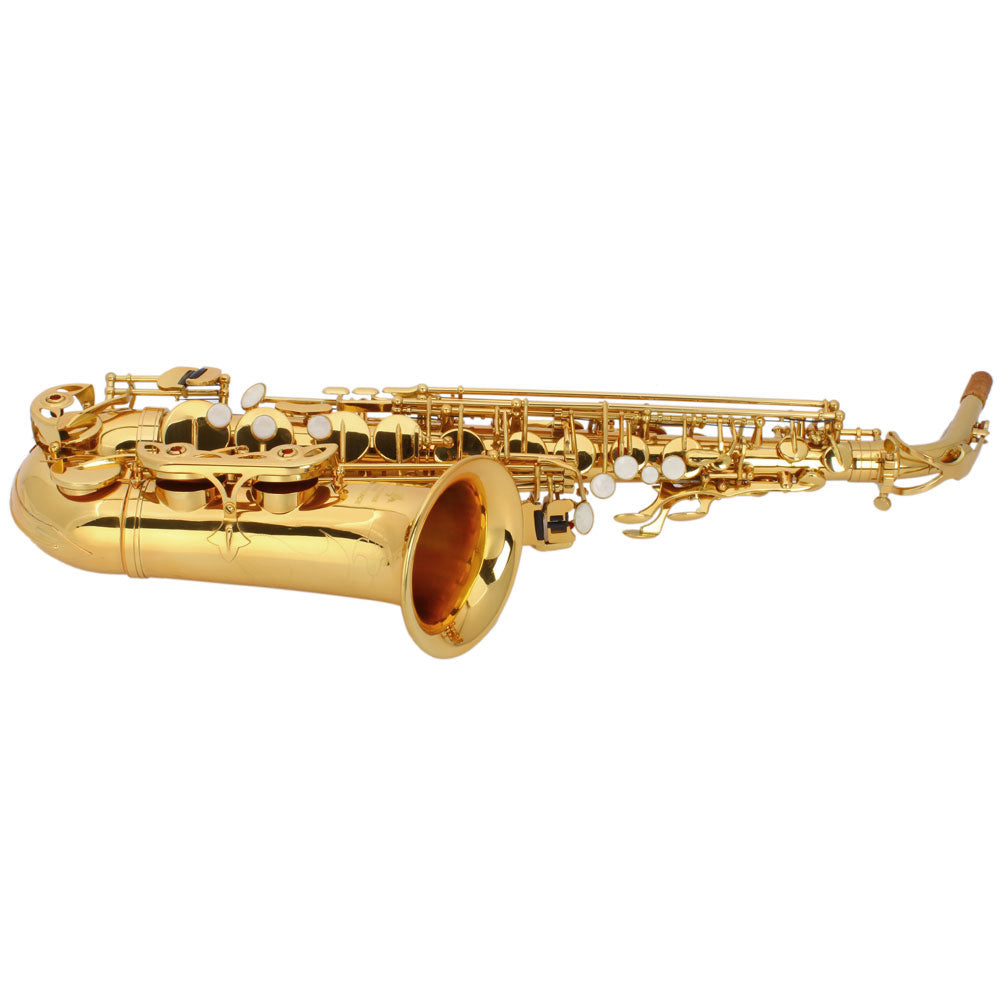Szzzp Stylish Mid-range Alto Drop E Lacquered Golden Saxophone Painted Golden Tube with Carve Patterns