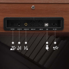 No logo 88 Key Standard Full Weighted Keyboards Digital Piano with Metal Stand, Power Adapter, Triple Pedals, Headphone，for All Experience Levels Black Walnut
