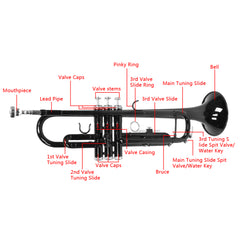 Szzzp Nickel Plating Trumpet Gloves Set Black
