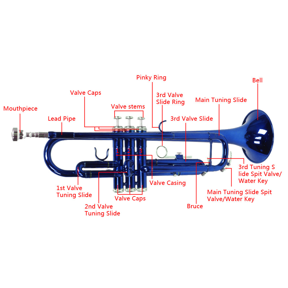 Szzzp Brass B Flat Trumpet Gloves Set Blue