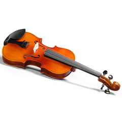 Brand new 4/4 natural tiger-striped acoustic violin set includes pitch stickers, tuner, strings, shoulder rest, rosin, bow, and premium gift box.