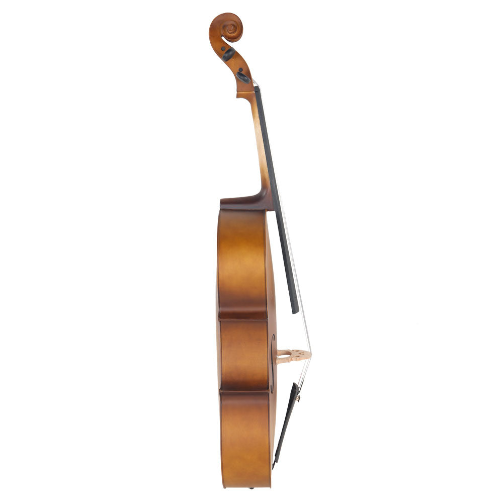 Szzzp 4/4 Acoustic Cello Case Bow Rosin Wood