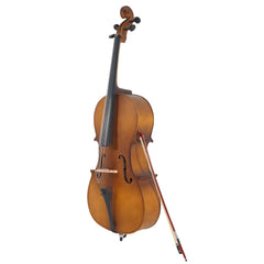 Szzzp 4/4 Acoustic Cello Case Bow Rosin Wood