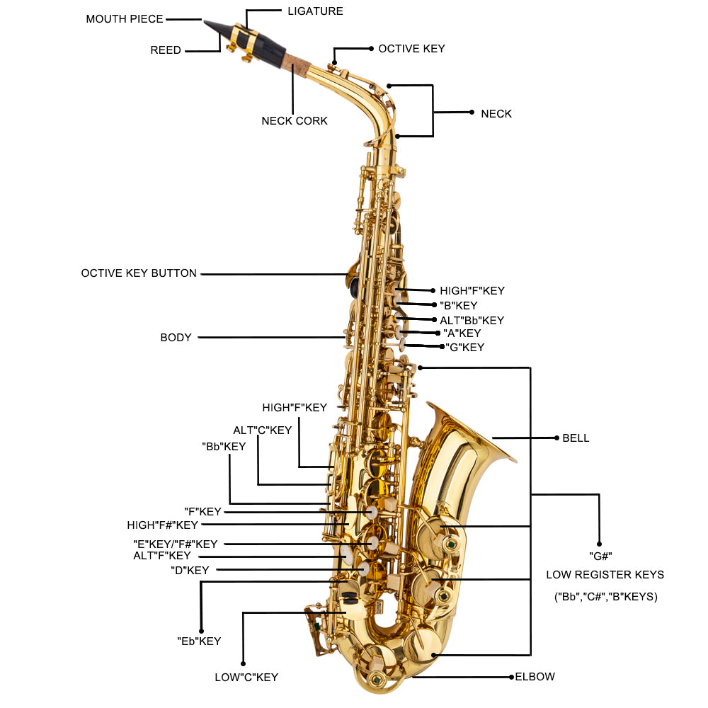 Szzzp Stylish Mid-range Alto Drop E Lacquered Golden Saxophone Painted Golden Tube with Carve Patterns
