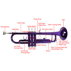 Szzzp Brass B Flat Trumpet Violet