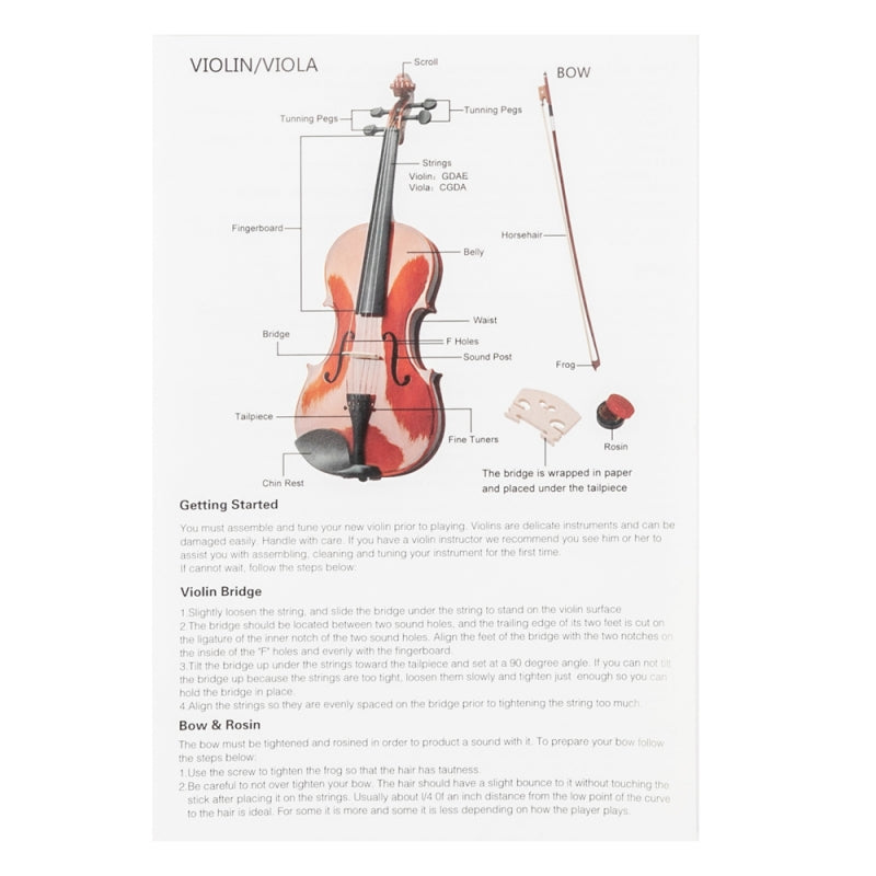 Glarry GV306 4/4 Spruce Panel Violin Bright Natural Wood Back