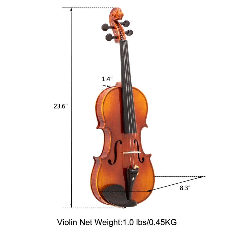 Glarry GV306 4/4 Spruce Panel Violin Bright Natural Wood Back