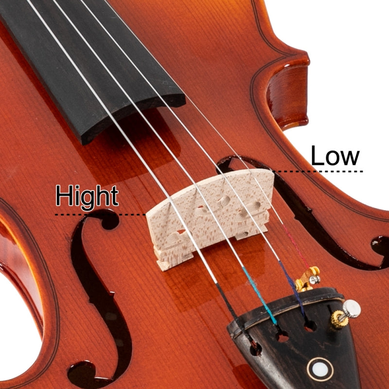 Glarry GV306 4/4 Spruce Panel Violin Bright Natural Wood Back