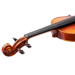 Glarry GV306 4/4 Spruce Panel Violin Bright Natural Wood Back