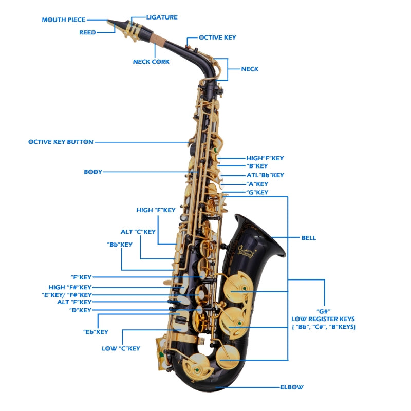 Glarry Student E Flat Alto SAX Saxophone - Black
