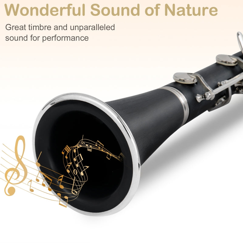 Glarry 17 Keys Flat B Black Clarinet with Two Mouthpieces Connector