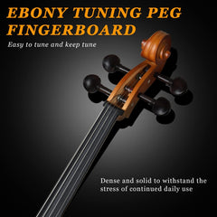 Glarry GC201 4/4 Solid Wood Spruce Panel Cello - Matte