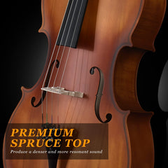 Glarry GC201 4/4 Solid Wood Spruce Panel Cello - Matte