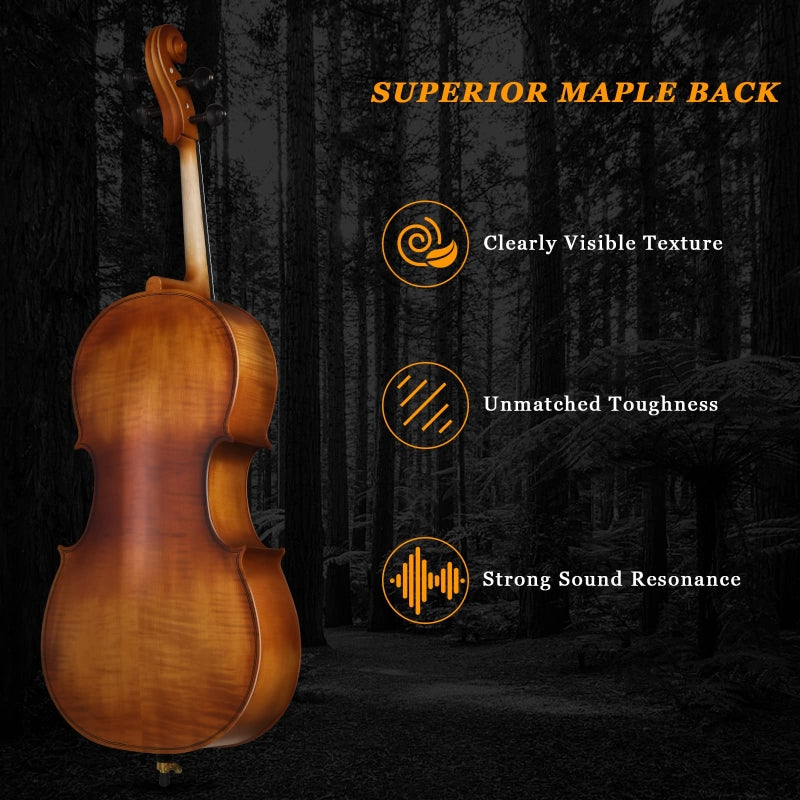 Glarry GC201 4/4 Solid Wood Spruce Panel Cello - Matte