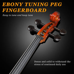 Glarry GC201 4/4 Solid Wood Spruce Panel Cello - Varnish