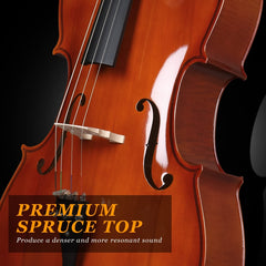 Glarry GC201 4/4 Solid Wood Spruce Panel Cello - Varnish