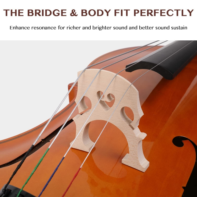 Glarry GC101 4/4 Full-Size Acoustic Cello - Nature