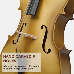 Glarry GC101 4/4 Full-Size Acoustic Cello - Golden