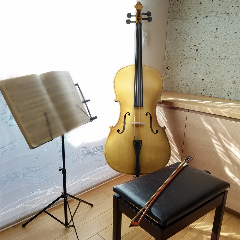 Glarry GC101 4/4 Full-Size Acoustic Cello - Golden