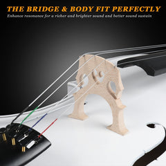 Glarry GC101 4/4 Full-Size Acoustic Cello White