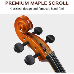 Glarry GC101 4/4 Full-Size Acoustic Cello - Retrovert