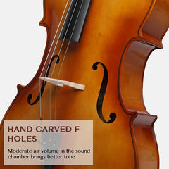 Glarry GC101 4/4 Full-Size Acoustic Cello - Retrovert