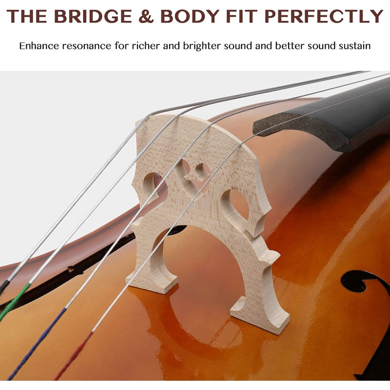 Glarry GC101 4/4 Full-Size Acoustic Cello - Retrovert